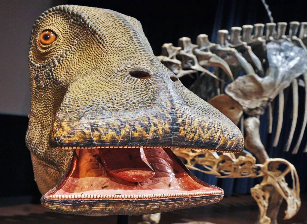 Dinosaur with 500 Teeth